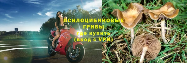 прущая мука Верхний Тагил